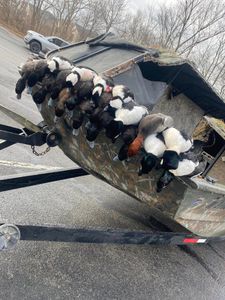 2023 Waterfowl Hunting in Ohio